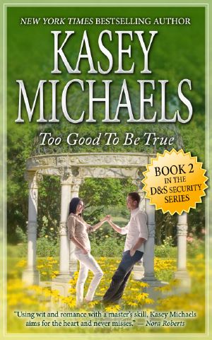 [D and S Security 02] • Too Good To Be True (A Contemporary Romance)